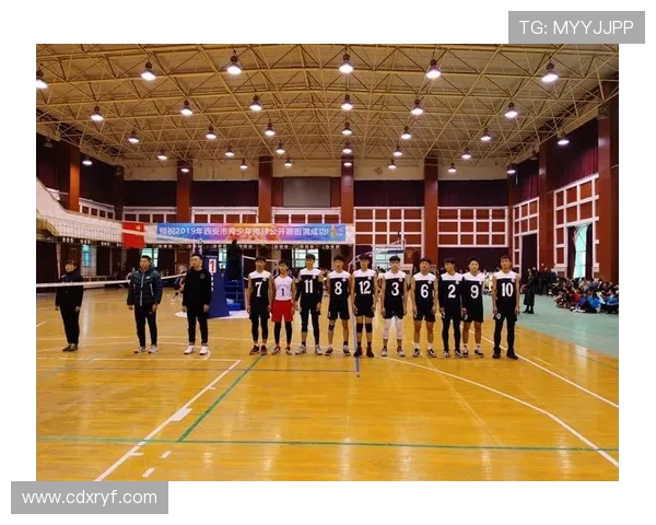 深圳排球队最新排球比赛经验分享TOP10助力球队腾飞