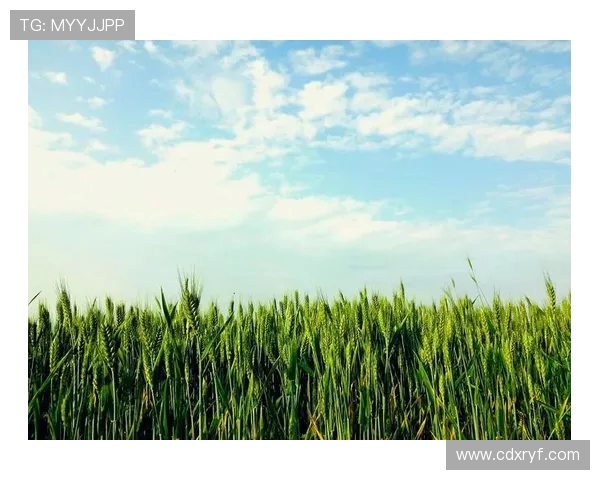 萨林杰的文学世界与心灵探索：从麦田里的守望者看现代青年的孤独与反叛