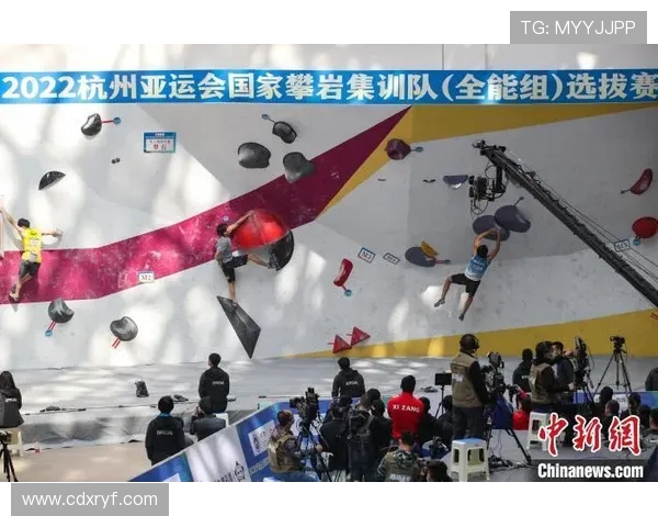 杭州攀岩队配合引发热议争议背后的团队默契与挑战