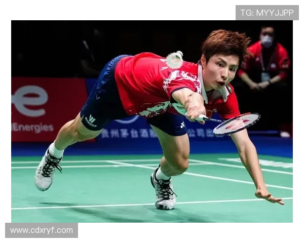 杭州羽毛球队包夹战术分析及其在比赛中的得失总结